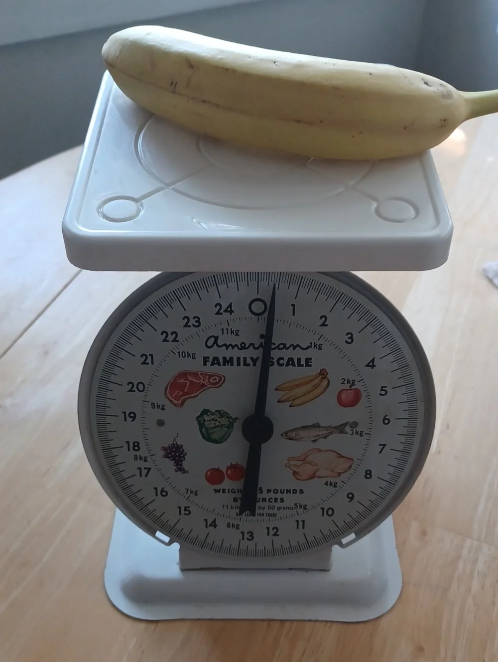 American Family Scale
